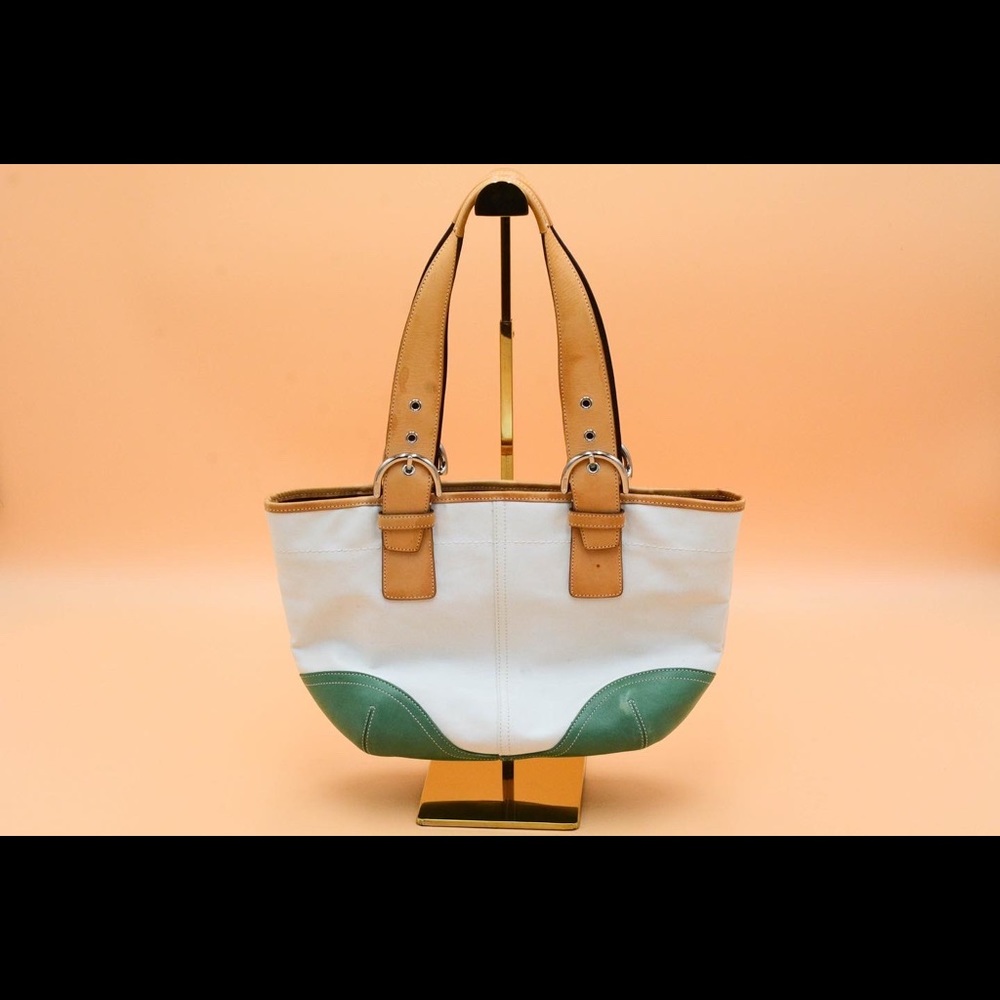 Coach Daisy Hand Bag